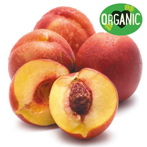 Nectarine Yellow Organic Each