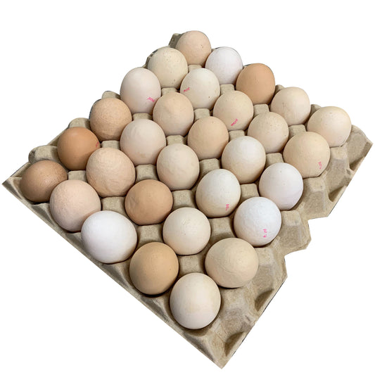Mulloon Creek Catering Random Weight Eggs 5 Trays in a box