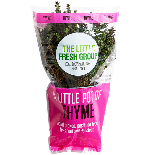 Thyme Herb Pot | Harris Farm Online