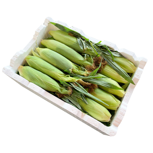 Corn (Case Sale) | Harris Farm Online