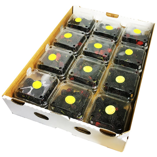Mulberries Tray 12