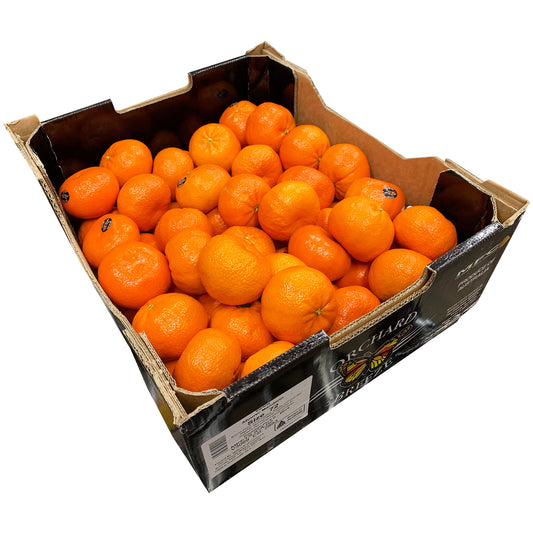 Mandarins Afourer | Harris Farm Online
