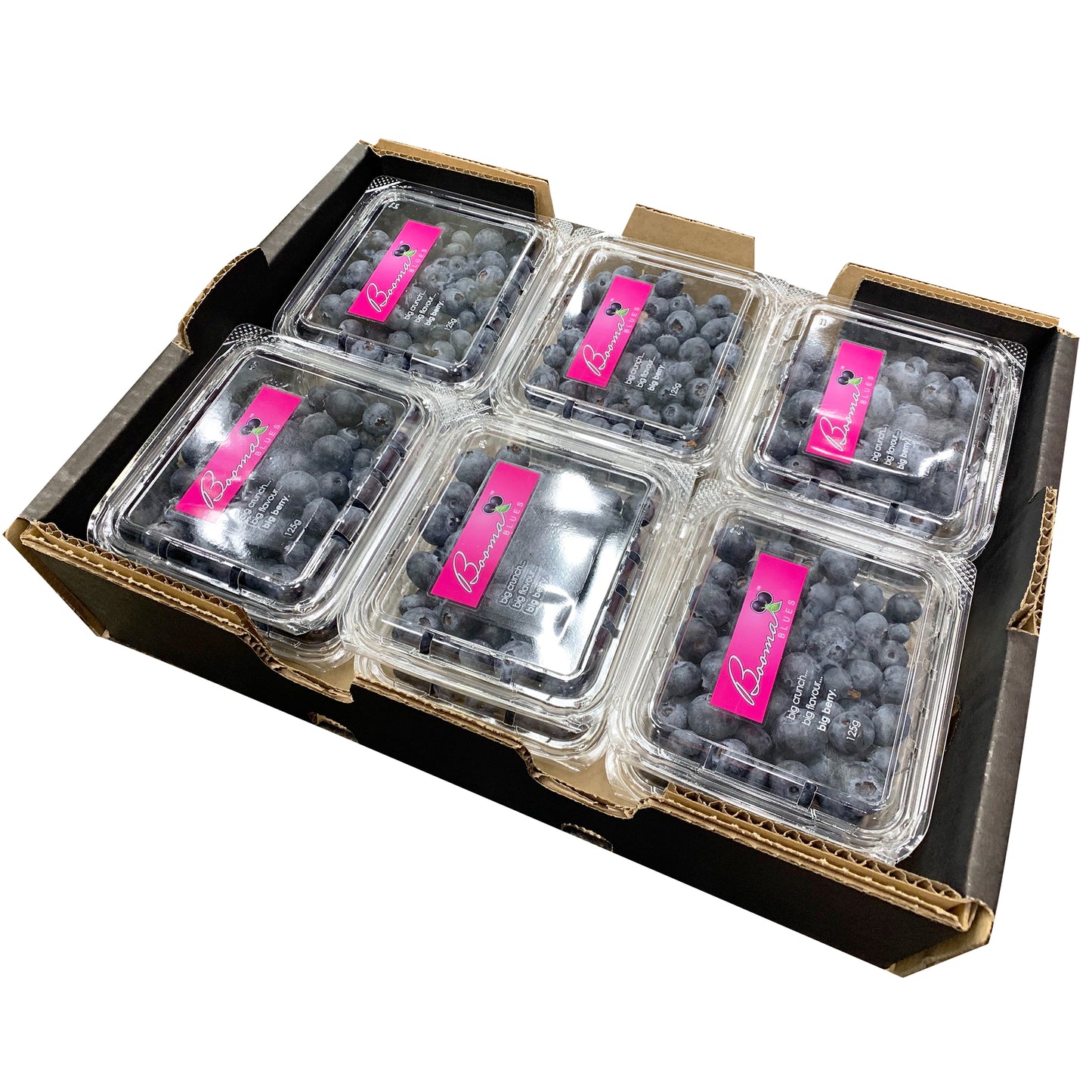 Blueberries | Harris Farm Online