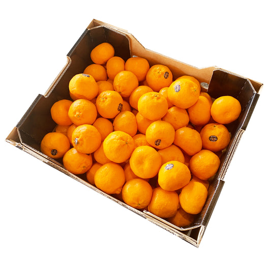 Mandarins Imperial Premium  | Harris Farm Online