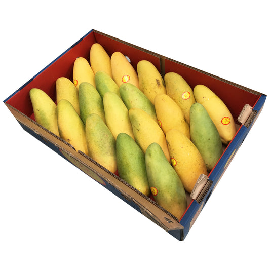 Mango TPP Tray