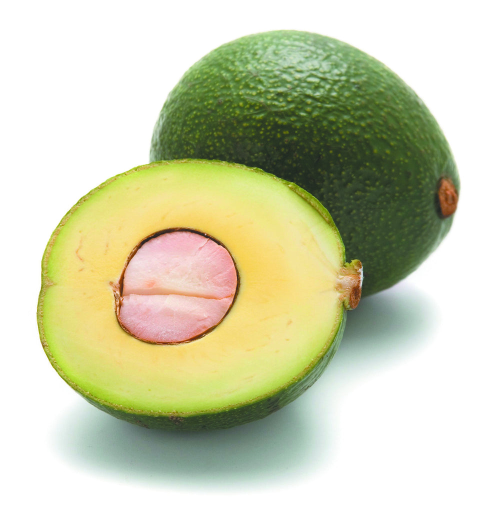 Reed avocado online