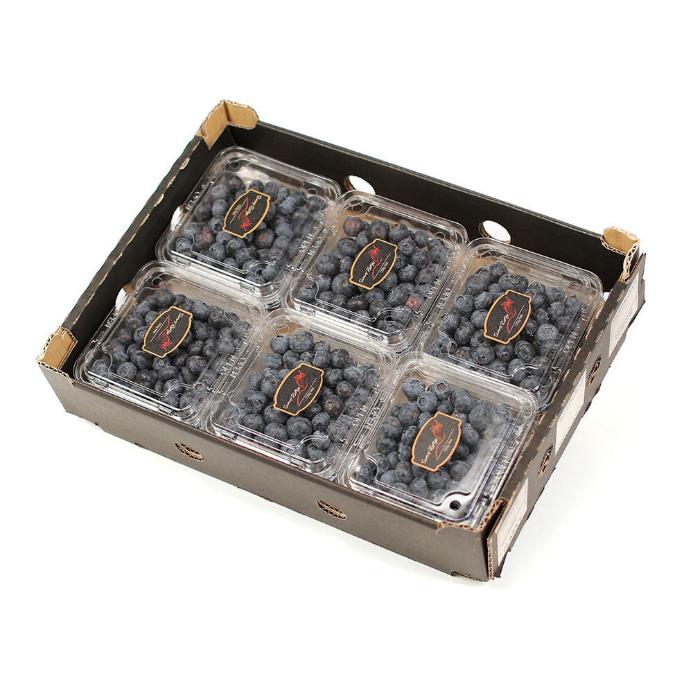 Blueberries Premium Tray | Harris Farm Online