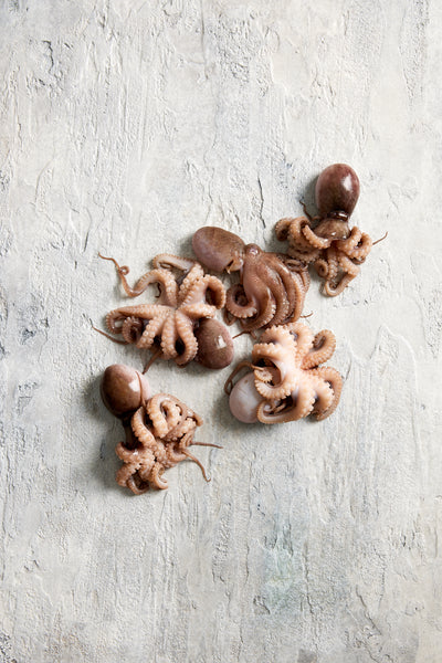 Fish in the Family Fresh Tenderised Medium Octopus 500g