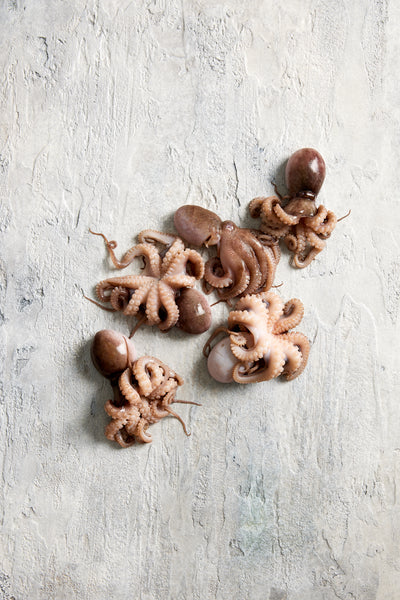 Fish in the Family Fresh Tenderised Small Octopus 500g