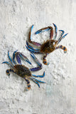 Fish in the Family Blue Swimmer Crab Raw Cleaned min 350g