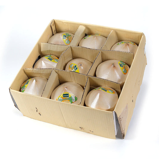 Coconuts Drinking | Harris Farm Online