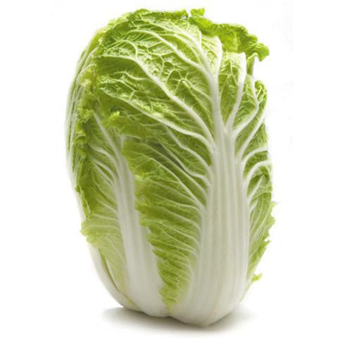 Cabbage Chinese | Harris Farm Online