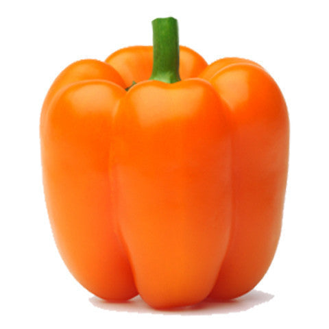Capsicum Orange (each) , S04S-Veg - HFM, Harris Farm Markets
