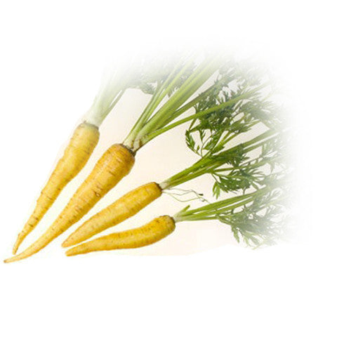 Carrots Dutch Yellow Stone (bunch) , S09H-Veg - HFM, Harris Farm Markets
