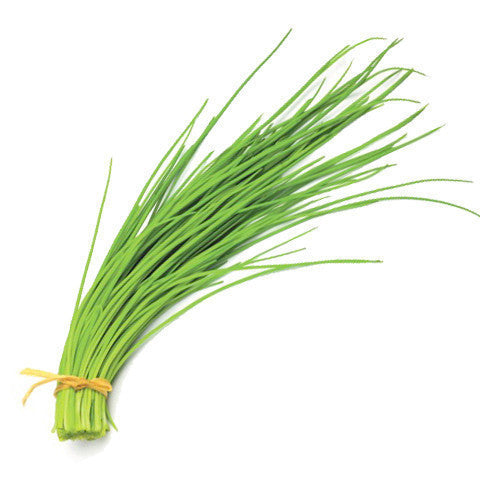 Chives Green | Harris Farm Markets