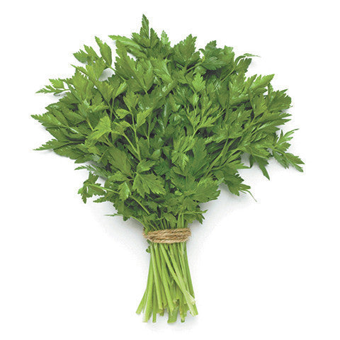 Parsley Curly Chopped (Bag 1kg) CATERING , Wholesale - HFM, Harris Farm Markets
