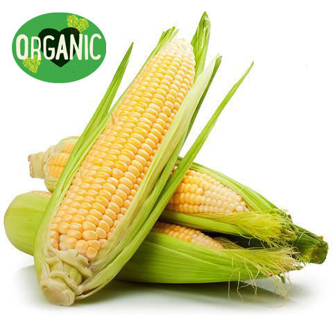 Corn Loose Organic  | Harris Farm Online