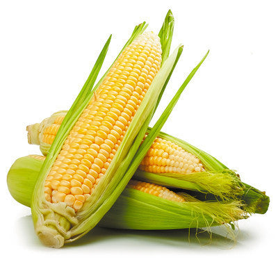 Corn Premium (approx 8kg box) , Whsl-Veg - HFM, Harris Farm Markets
