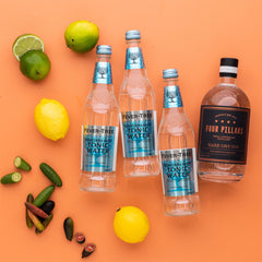 Gin and Tonic Cocktail Kit