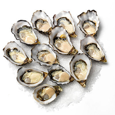 Fresh Pacific Oysters Large 1 doz | Harris Farm Online