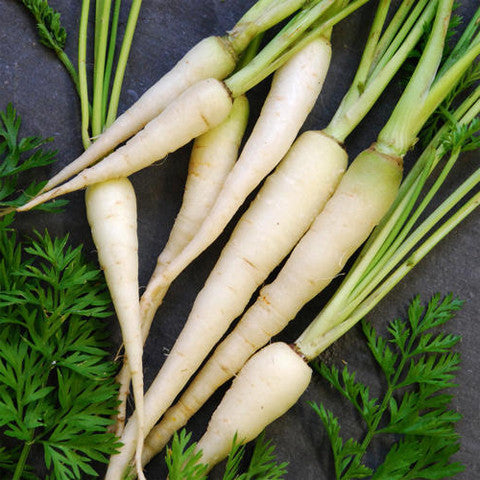 Carrots Dutch White (bunch) , S09H-Veg - HFM, Harris Farm Markets
