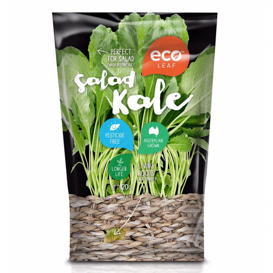 Kale - Salad (120g) Eco Leaf , S13M-Veg - HFM, Harris Farm Markets

