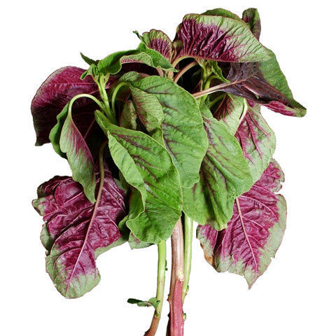 En Choy (bunch) , S09M-Veg - HFM, Harris Farm Markets
