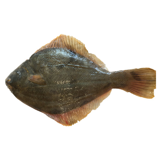 Whole Yellowbelly Flounder (min 300g) Gutted & Scaled