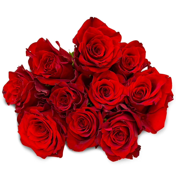 Premium Roses Red Tall 10 Stem Bunch | Harris Farm Online