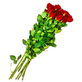 Premium Roses Red Tall 10 Stem Bunch | Harris Farm Online