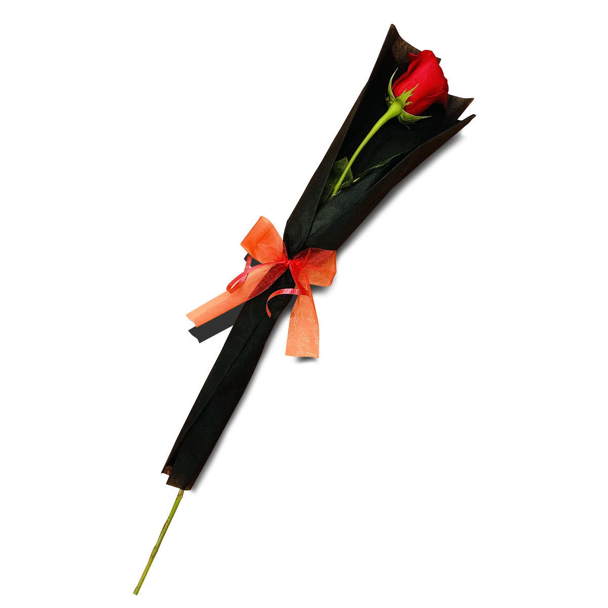 Rose Red Single Stem | Harris Farm Online