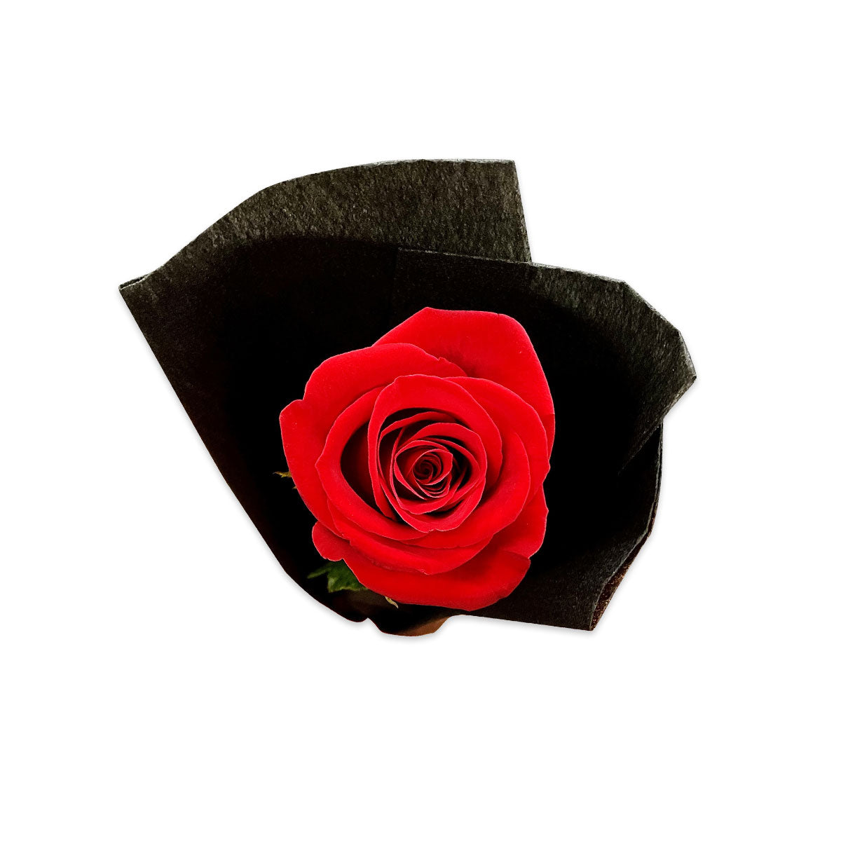 Rose Red Single Stem | Harris Farm Online