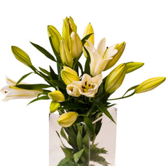 Flowers White Oriental Lilies Large bunch , Flowers - HFM, Harris Farm Markets
