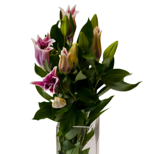 Flowers Pink Oriental Lilies Large bunch , Flowers - HFM, Harris Farm Markets
