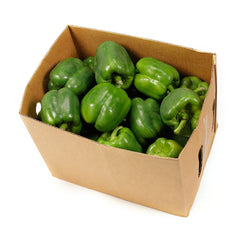 Capsicum Green Box 8kg | Harris Farm Online