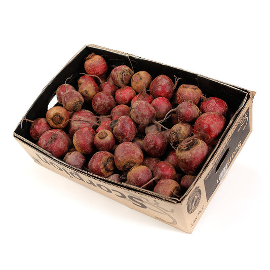 Beetroot (bag 10kg) , Wholesale - HFM, Harris Farm Markets
