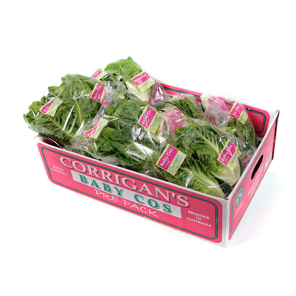 Lettuce Cos Baby Twin packs Box 10 | Harris Farm Online