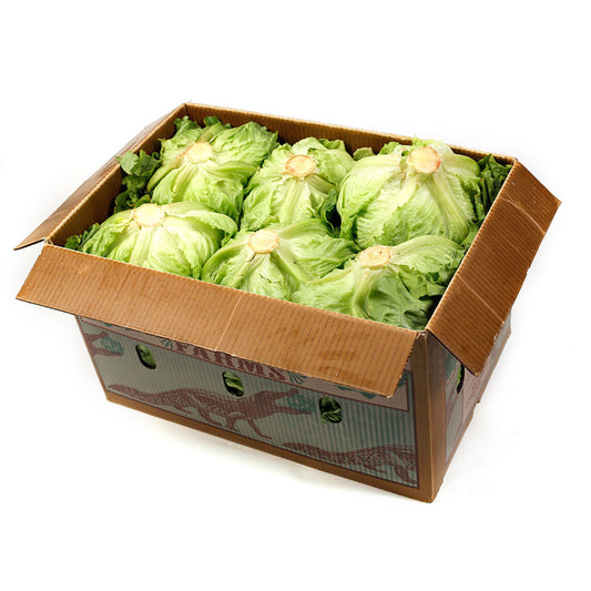 Lettuce Iceberg Box 12 | Harris Farm Online