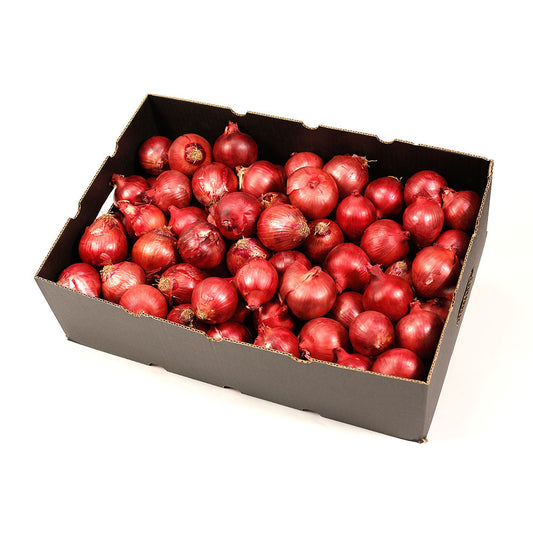 Onions Spanish (box 10kg) , Wholesale - HFM, Harris Farm Markets

