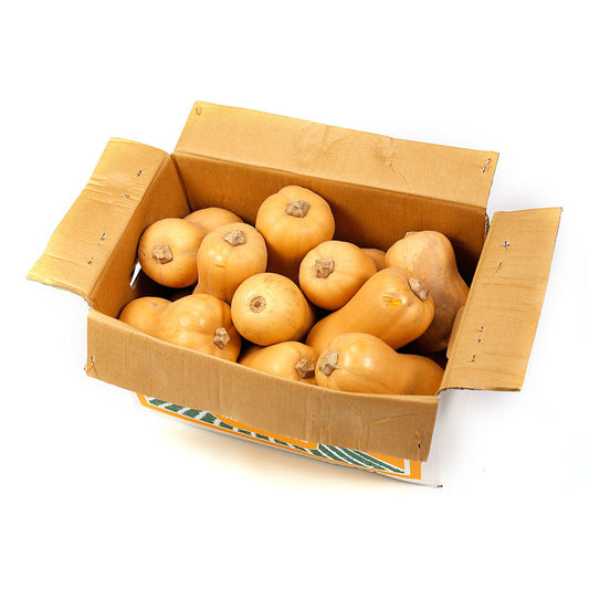 Pumpkin Butternut Whole (min. 30kg) , Wholesale - HFM, Harris Farm Markets
