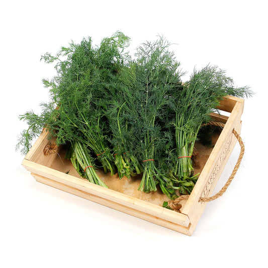 Dill (6 bunches) , Wholesale - HFM, Harris Farm Markets
