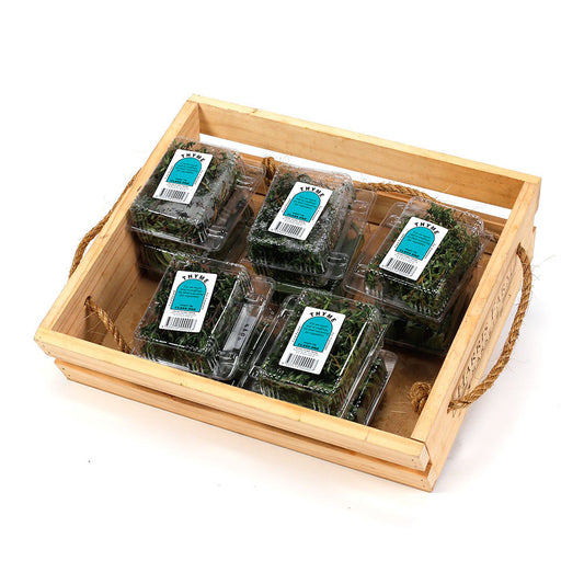 Thyme (10 Micro-Punnets) , Wholesale - HFM, Harris Farm Markets
