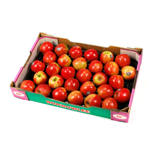 Apples Pink Lady Large (tray 5kg) , Wholesale - HFM, Harris Farm Markets
