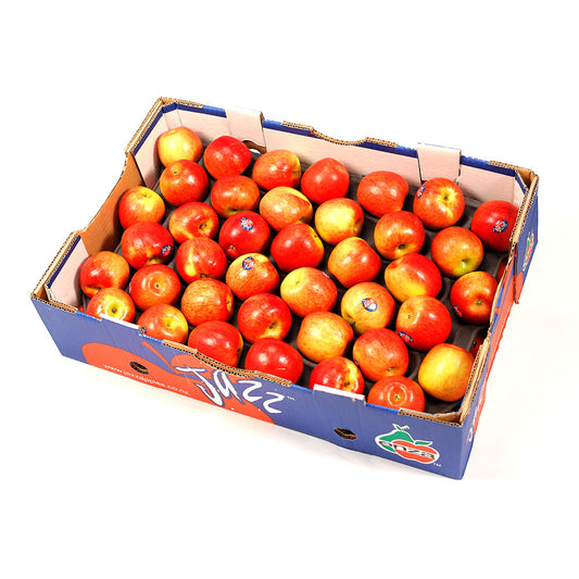 Apples Jazz Wholesale | Harris Farm Online