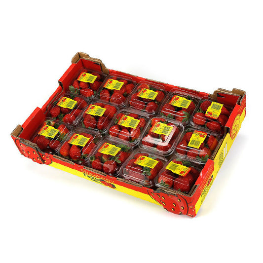 Strawberries Large (tray of 15 punnets) , Wholesale - HFM, Harris Farm Markets
