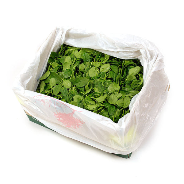 Salad Baby Spinach loose (box 3kg ) , Wholesale - HFM, Harris Farm Markets
