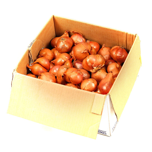 Kiwifruit (box 5kg) , Wholesale - HFM, Harris Farm Markets
