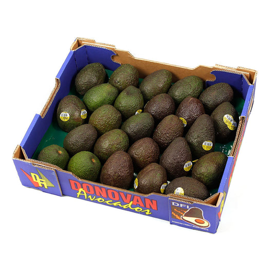 Avocados (Tray Sale) | Harris Farm Online