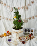 Wild Hibiscus Flower Co. Gingle Bells Gin Baubles Box