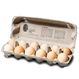 Holbrook Paddock Eggs Free Range Eggs x12 800g